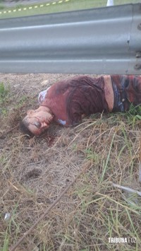 Jovem é morto com tiro na cabeça e desovado as margens da BR-277