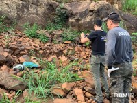 Homem é encontrado morto na barranca do Rio Iguaçu