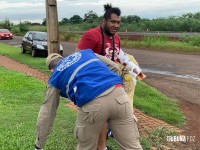 Siate socorre vítima de queda de moto na Av. Perimetral Leste