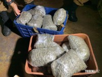 ROCAM apreende 373 Kg de maconha tipo capulho no Bairro Campos do Iguaçu