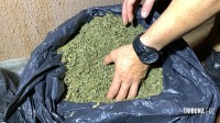 ROCAM apreende 373 Kg de maconha tipo capulho no Bairro Campos do Iguaçu