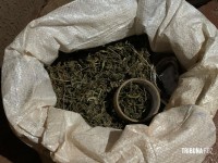 ROCAM apreende 373 Kg de maconha tipo capulho no Bairro Campos do Iguaçu