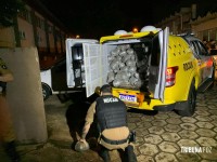 ROCAM apreende 373 Kg de maconha tipo capulho no Bairro Campos do Iguaçu