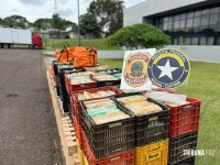 Policia Federal e Receita Federal apreendem 3 toneladas de entorpecentes na aduana da Ponte da Amizade