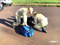 Siate socorre motociclista após colisão na Av. Bem-Te-Vi no Portal da Foz