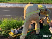 Siate socorre vítima de atropelamento na marginal da BR-277