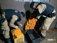 ROTAM prende condutor com 150 tabletes de maconha na saída de Foz