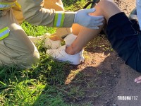 Siate socorre vítima de acidente de trânsito na BR-277 no trevo da Icavel