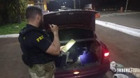 PRF prende condutor e apreende 84 Kg de maconha em Santa Terezinha de Itaipu