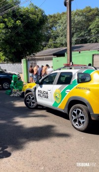 GDE da Policia Civil prende cinco pessoas na Vila C com grande quantidade de maconha