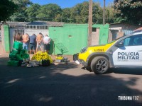 GDE da Policia Civil prende cinco pessoas na Vila C com grande quantidade de maconha