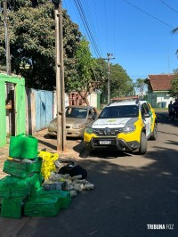 GDE da Policia Civil prende cinco pessoas na Vila C com grande quantidade de maconha