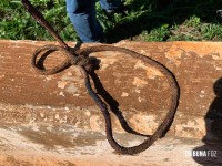 Homem é morto a facadas, arrastado e ateado fogo na cabeceira da Ponte da Fraternidade