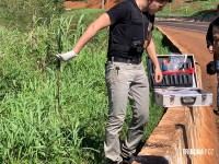 Homem é morto a facadas, arrastado e ateado fogo na cabeceira da Ponte da Fraternidade