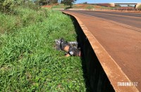 Homem é morto a facadas, arrastado e ateado fogo na cabeceira da Ponte da Fraternidade