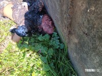 Homem é morto a facadas, arrastado e ateado fogo na cabeceira da Ponte da Fraternidade