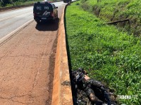 Homem é morto a facadas, arrastado e ateado fogo na cabeceira da Ponte da Fraternidade