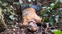 A Polícia Civil de Santa Terezinha de Itaipu investiga achado de cadáver no Parque Nacional do Iguaçu