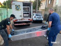 Mulher é encontrada morta dentro de casa no Jardim Pólo Centro