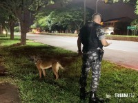 Unidade de Cães de Serviço (K9) do CHOQUE realizam abordagens a ônibus na Av. Costa e Silva