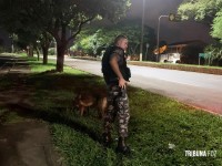 Unidade de Cães de Serviço (K9) do CHOQUE realizam abordagens a ônibus na Av. Costa e Silva