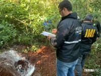 Cachorro encontra homem assassinado e enterrado em cova no Alto da Boa Vista