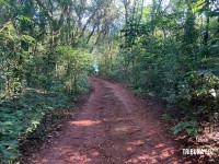 Cachorro encontra homem assassinado e enterrado em cova no Alto da Boa Vista