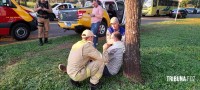 Motociclista é socorrido pelo Siate na Av. dos Imigrantes após queda