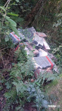 ROTAM apreende 524 Kg de maconha na barranca do Rio Paraná em Foz do Iguaçu