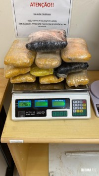 Policia Federal prende passageiro transportando maconha tipo capulho na Rodoviária de Foz do Iguaçu