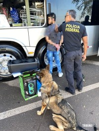 Policia Federal prende passageiro transportando maconha tipo capulho na Rodoviária de Foz do Iguaçu