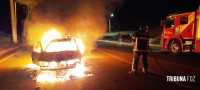 Bombeiros intervém em incêndio a veículo no final da Av. General Meira