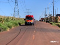 Mulher fica gravemente ferida após ataque de pit-bulls no Lagoa Dourada