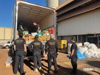 Policia Federal incineração de mais de 6 toneladas de drogas apreendidos na região da Tríplice Fronteira