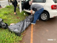 Condutor morre após colidir veículo contra um poste no Jardim Nacional