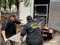 Mulher é encontrada morta dentro da banheira de um motel em Foz do Iguaçu