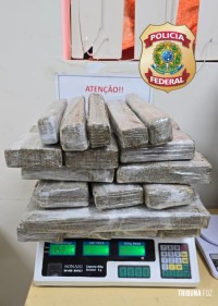 PF prende passageiro com 16 Kg de maconha em ônibus com destino ao Rio de Janeiro 