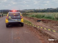 Homem é encontrado morto a tiros no Bairro Portal da Foz