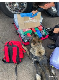 Policia Federal prende passageira com drogas em mala de viagem para São Paulo