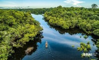 EUA anunciam nova contribuição de US$ 47 milhões para o Fundo Amazônia