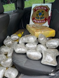 Policia Federal prende motorista transportando 156 Kg de maconha na Rodovia BR-277