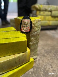 Policia Federal prende motorista transportando 156 Kg de maconha na Rodovia BR-277