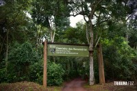 Inverno nas Cataratas: saiba como aproveitar o frio no Parque Nacional do Iguaçu