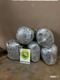 BPFRON apreende 53 kg de maconha tipo skunk em Foz do Iguaçu