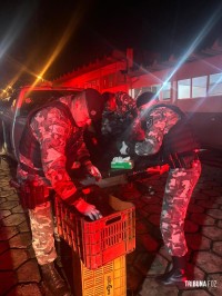 Militares do 14º BPM prendem condutor com caminhonete recheada de maconha no Posto Paradão