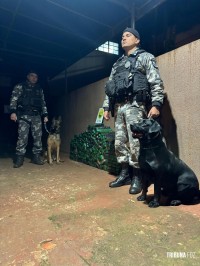 Militares do 14º BPM prendem condutor com caminhonete recheada de maconha no Posto Paradão