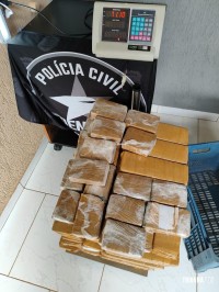 Polícia Civil e Polícia Rodoviária Federal apreendem 71 Kg de maconha