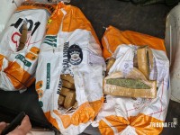 Polícia Civil e Polícia Rodoviária Federal apreendem 71 Kg de maconha