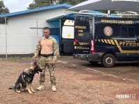 Policia Federal recebe mais dois cães farejadores policiais e reforça fiscalização na tríplice fronteira