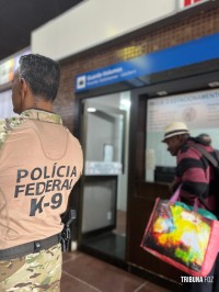 Policia Federal recebe mais dois cães farejadores policiais e reforça fiscalização na tríplice fronteira